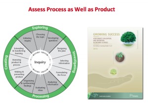 Assess Process